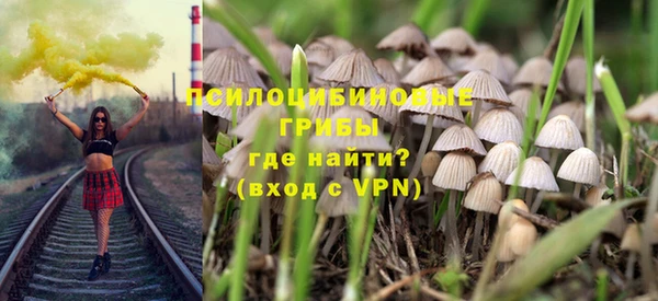стаф Алексеевка