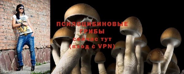 мяу мяу кристалл Аркадак
