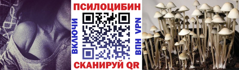 kraken маркетплейс  Белореченск  Галлюциногенные грибы MAGIC MUSHROOMS 